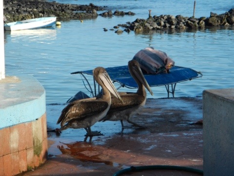 20120202-215734.jpg