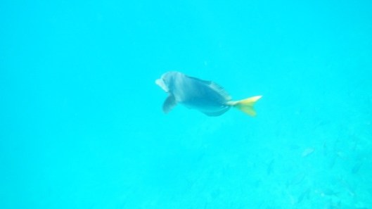 20120202-215939.jpg