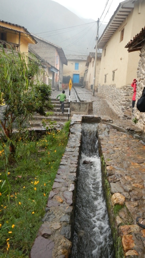 20120202-220855.jpg