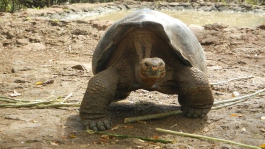 20120203-225122.jpg