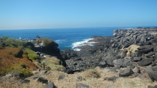 20120203-225142.jpg