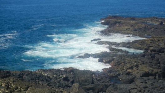 20120203-225503.jpg